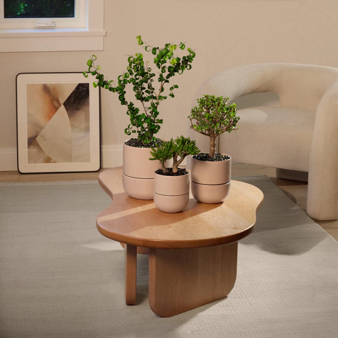 Medium Planter - Image 14